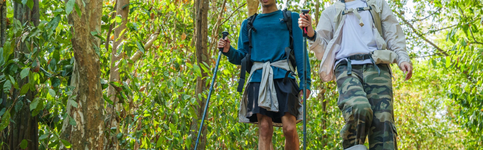 Hiking, Parks & More: Outdoor Adventures in North Hills