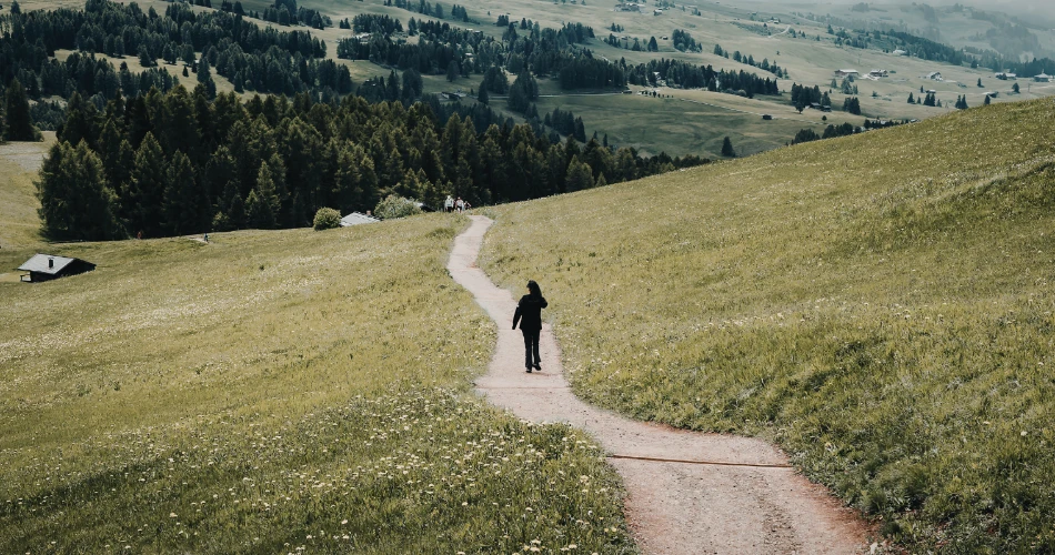 Hiking, Parks & More: Outdoor Adventures in North Hills