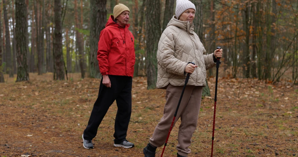 Hiking, Parks & More: Outdoor Adventures in North Hills