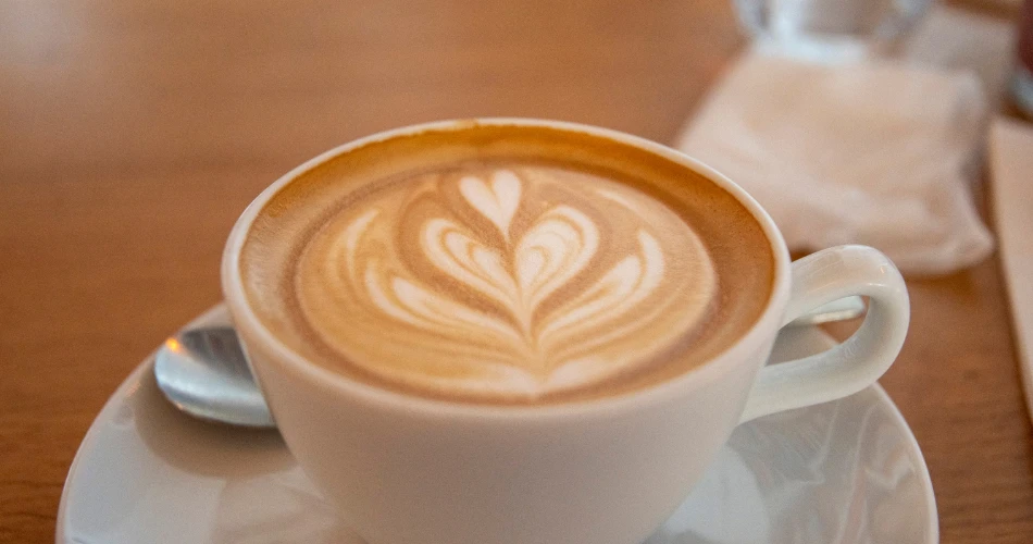 From Local Favorites to Trending Bites: Must-Try Food in North Hills